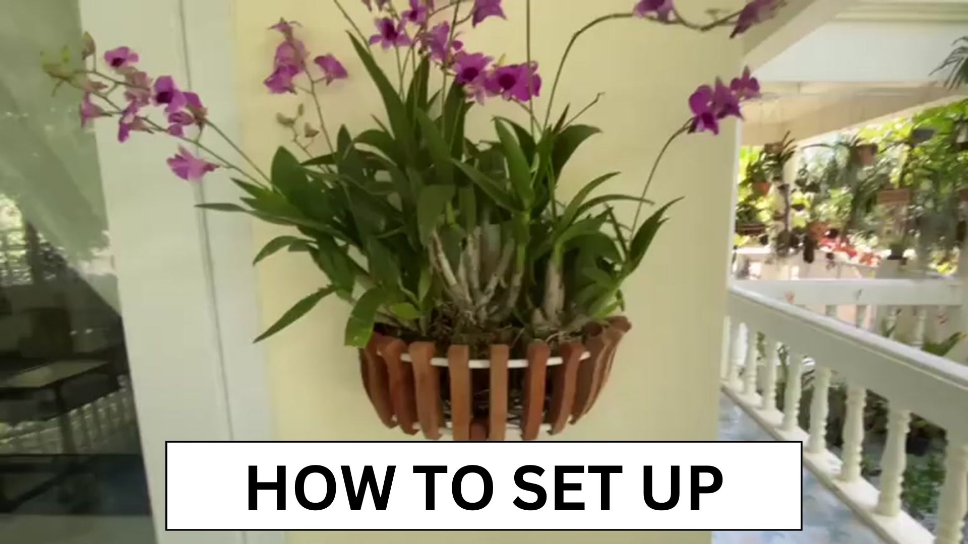Amazon.com: DESQUIGGLE 3 Wooden Orchid Wall Planters, Plant
